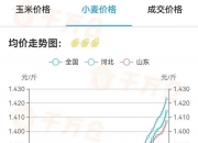 2024年7月6日松树皮价格行情最新价格查询