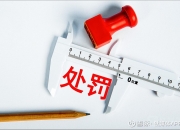 ST广物：收到中国证监会《行政处罚决定书》