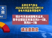 宁夏回族自治区气象台发布大风蓝色预警信号