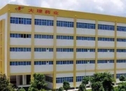 陈文静续任共同药业董秘：与实控人为夫妻关系典型家族企业 净利润上市后大“变脸”