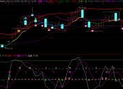 华斯股份(002494.SZ)：前三季度净利润276.95万元 同比增长168.95%