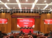 我国知识产权人才规模增至86万人