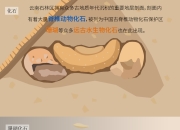 中国石化获得实用新型专利授权：“一种裂缝型碳酸盐岩储层流动规律测试装置”