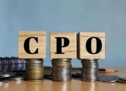 共封装光学(CPO)概念下跌0.81%，主力资金净流出75股