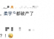 起拍价12.3亿元！柔宇科技资产拍卖！