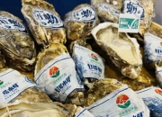 【企业动态】远大智能新增1件法院诉讼，案由为劳动争议