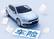 人保车险,拥有“如意行”驾乘险，出行更顺畅！_2025中国高标准农田行业市场调查与未来发展前景分析