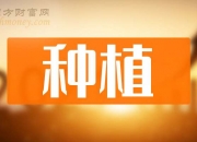 大千生态换手率30.12%，上榜营业部合计净买入625.41万元