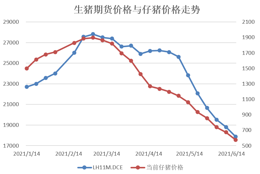 （2024年8月5日）今日生猪期货最新价格查询