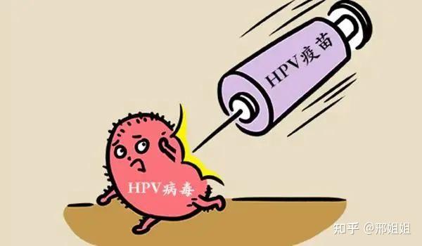 国产二价HPV疫苗中标价再刷下限，业绩阵痛中的沃森生物利润空间受考