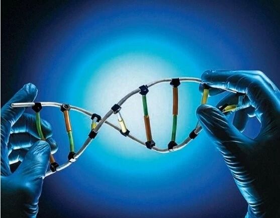 微生物行业发展现状、前景趋势研究分析_保险有温度,人保护你周全