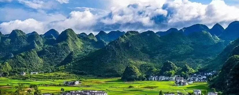 乐凯胶片： 公司股东人数及前10名股东持股情况在定期报告中披露，请查阅