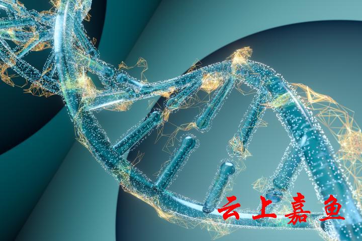 我科学家发明新型“热发射极”晶体管