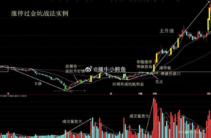 新冠概念强势拉升，透景生命、兰卫医学等涨停，凯普生物等大涨
