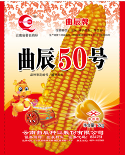 （2025年1月8日）今日玉米期货和美玉米最新价格查询