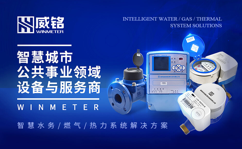人保有温度,人保护你周全_2025—2030中国智能燃气表行业研究与投资指南