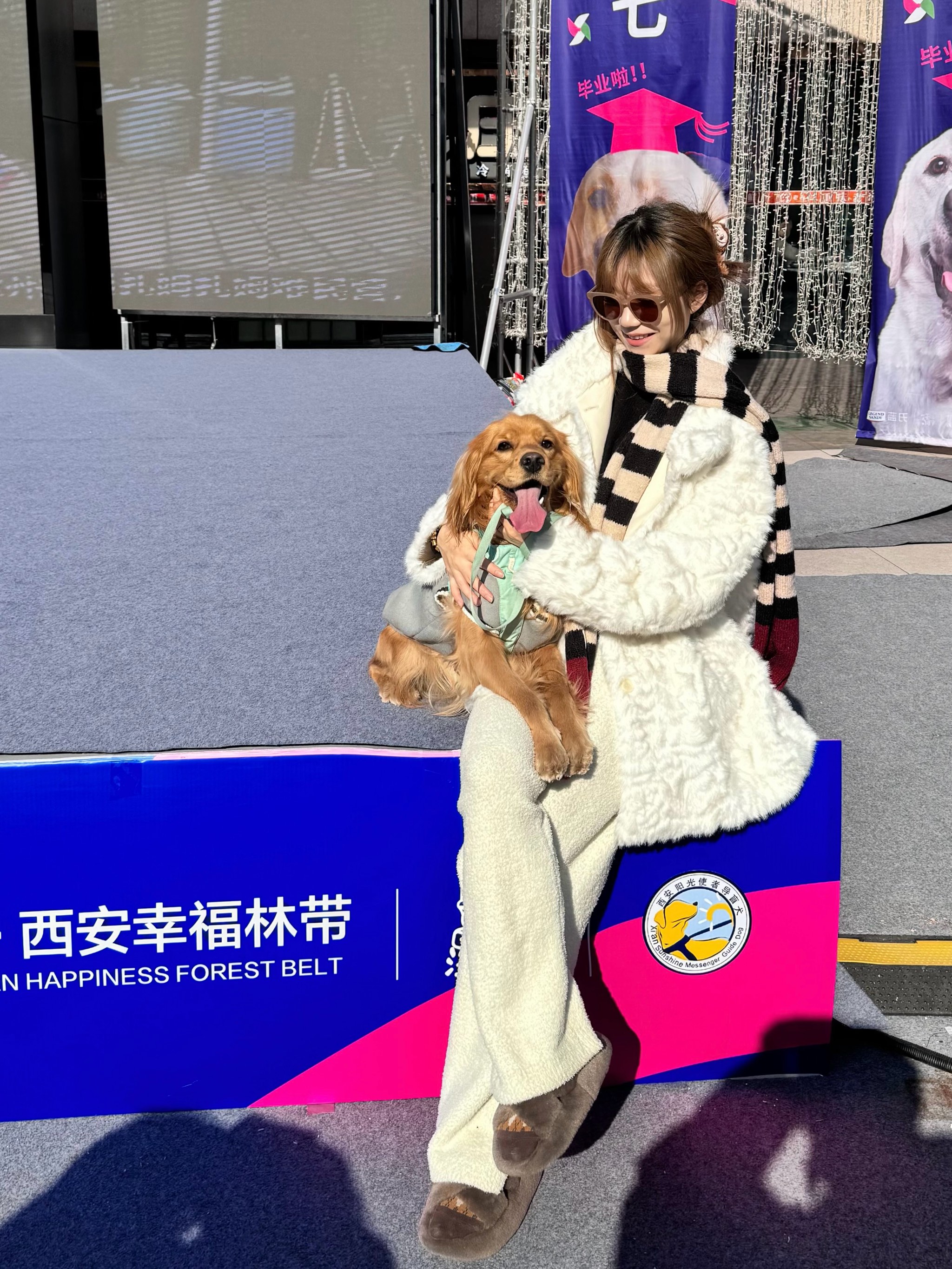 机器人助力幸福生活｜电子导盲犬让视障人士“看见”生活点滴