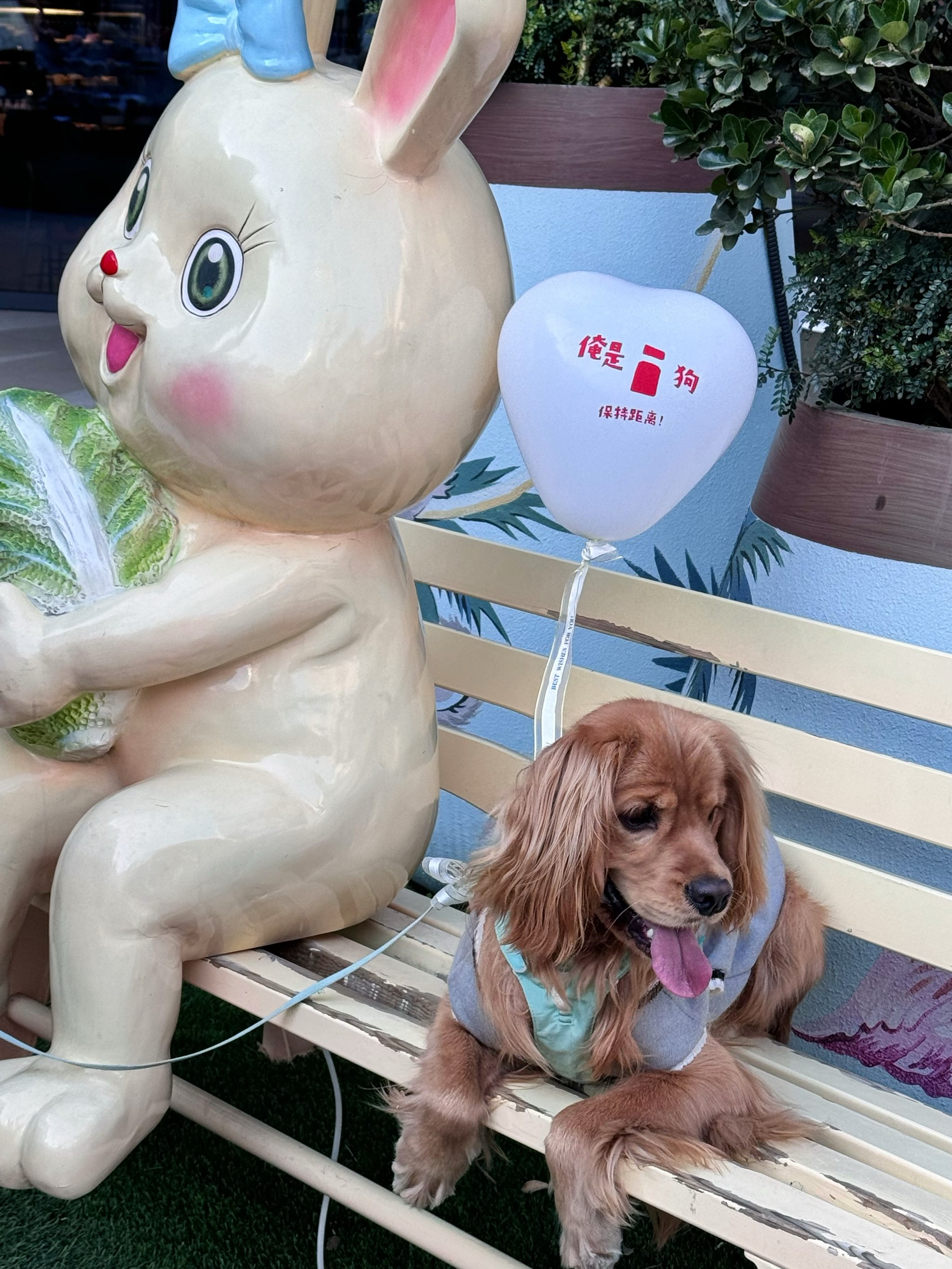 机器人助力幸福生活｜电子导盲犬让视障人士“看见”生活点滴