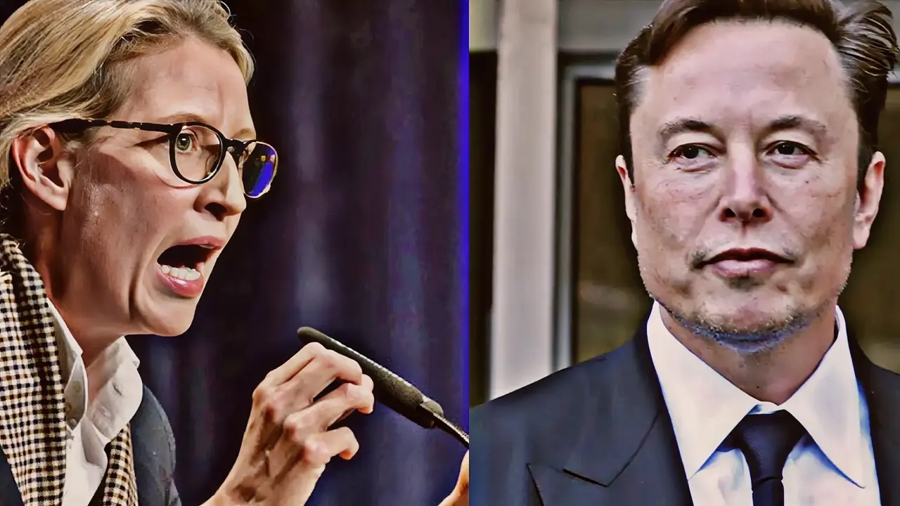 荒谬可笑！马斯克狠批！