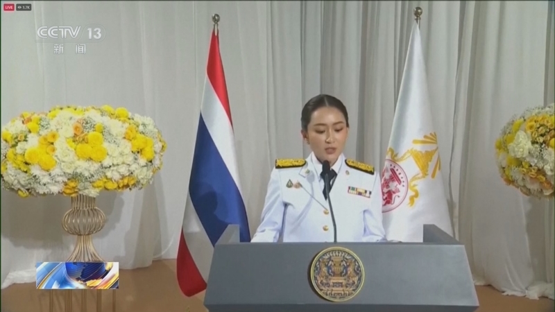 突发！泰国总理佩通坦被停职