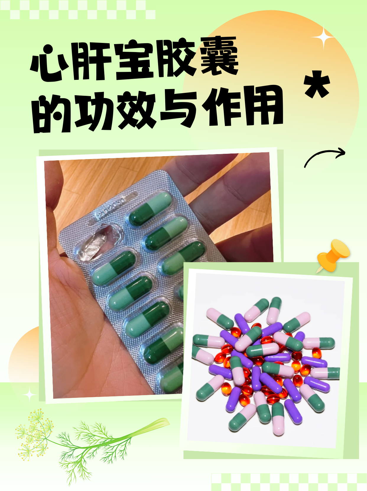 2024年中药提取物行业发展现状、竞争格局及未来发展趋势分析_人保服务 ,人保有温度