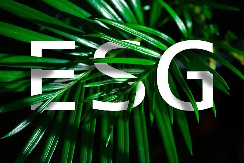 【ESG动态】柠萌影视（09857.HK）获华证指数ESG最新评级A，行业排名第2