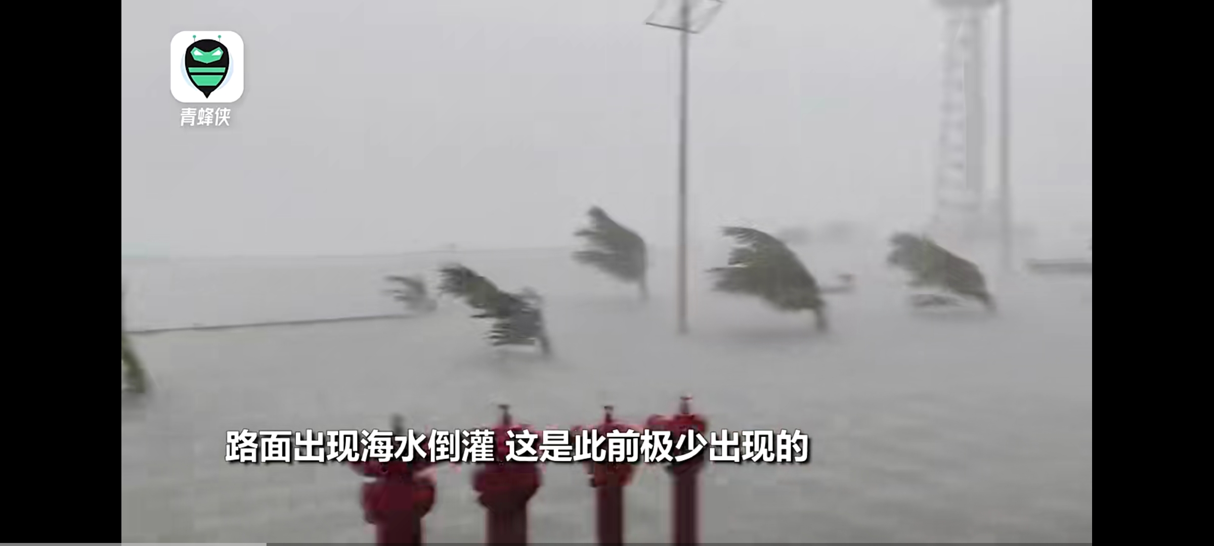 受台风影响 海口“三港”10月20日14时起停运