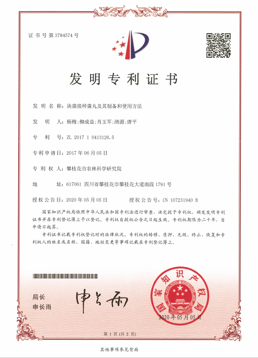 绿联科技获得外观设计专利授权:“转接头(LS502-LS503)”