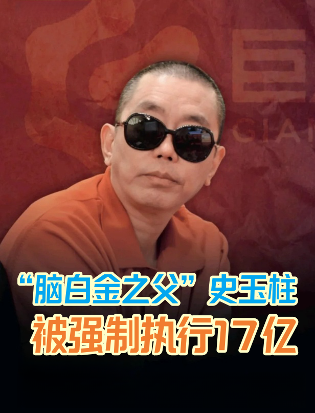 巨人网络董事长史玉柱:征途玩家增速远超收入增速 说明方向对了