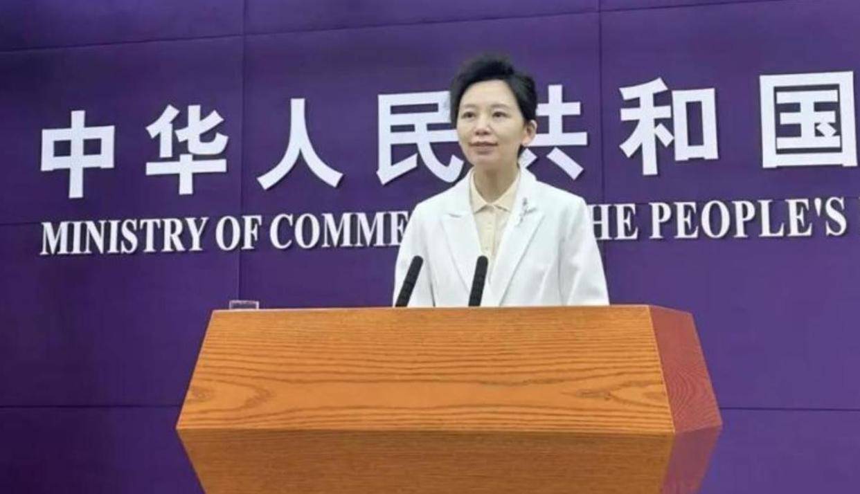 涉及出口管制、安世半导体等！商务部部长王文涛，最新表态