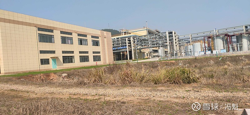 大洋生物（003017）2025年三季报简析：营收净利润同比双双增长，盈利能力上升