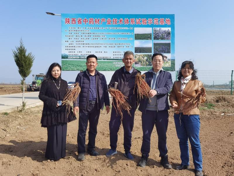 陕西省证券投资基金业协会设立政府投资基金专委会 助力构建陕西现代产业体系