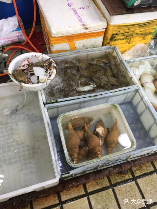 “22蛇口06”将于10月28日付息