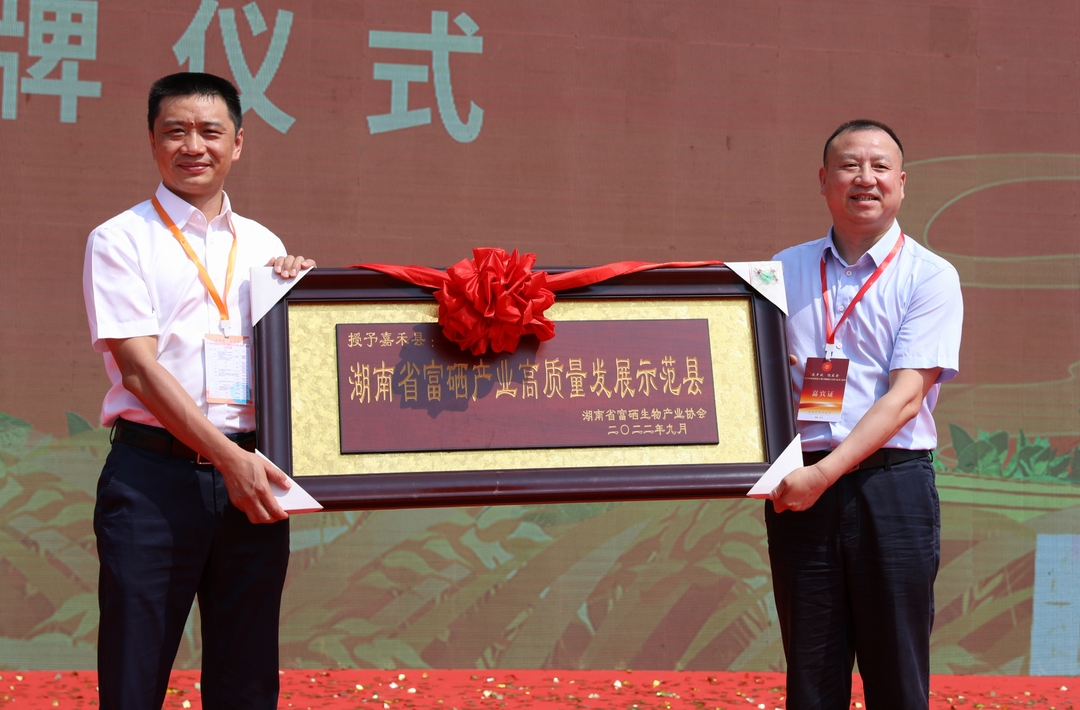 湖南发展与嘉禾县签署意向协议 拟24亿元投建光伏发电项目