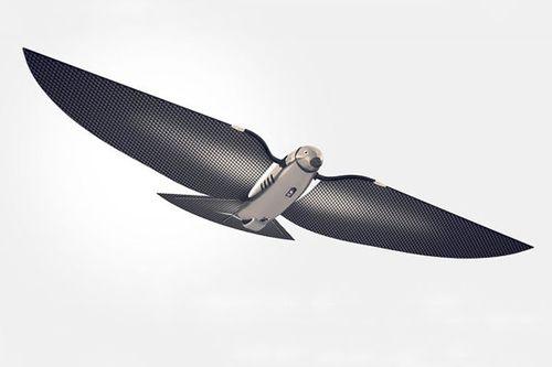 孚日股份：目前公司在人工智能、机器人方面没有布局