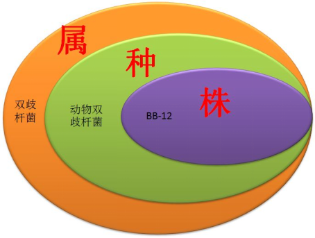 百亚股份获得实用新型专利授权：“一种益生菌卫生巾”