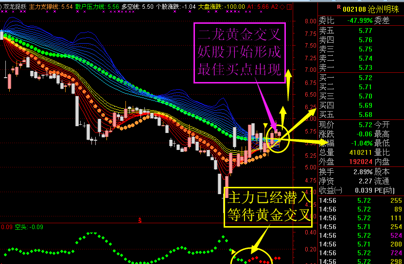 沧州明珠（002108）2026年一季报简析：增收不增利，公司应收账款体量较大