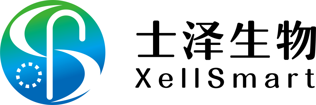 掌阅科技：2025年亏损1.76亿元 短剧等衍生业务成第一大业务