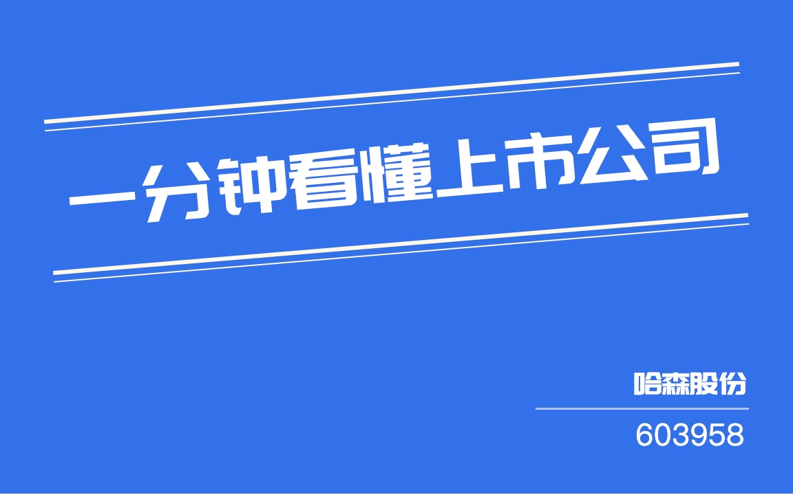 哈森股份（603958）2026年一季报简析：营收净利润同比双双增长