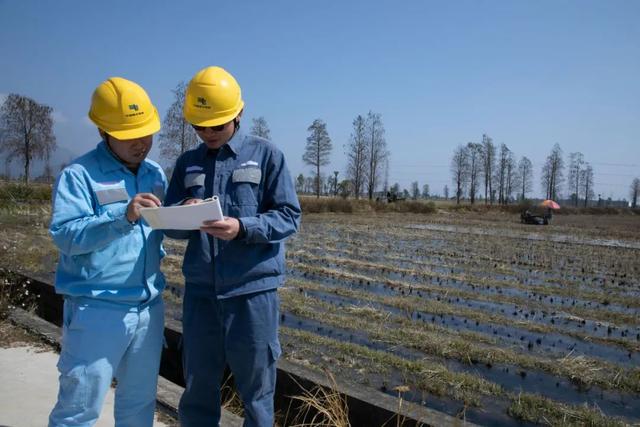 精细服务、数智运维双管齐下 多地保障春耕春种可靠用电