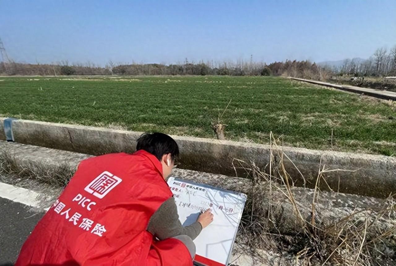 2026大豆油行业发展现状及市场容量、趋势分析_保险有温度,人保服务