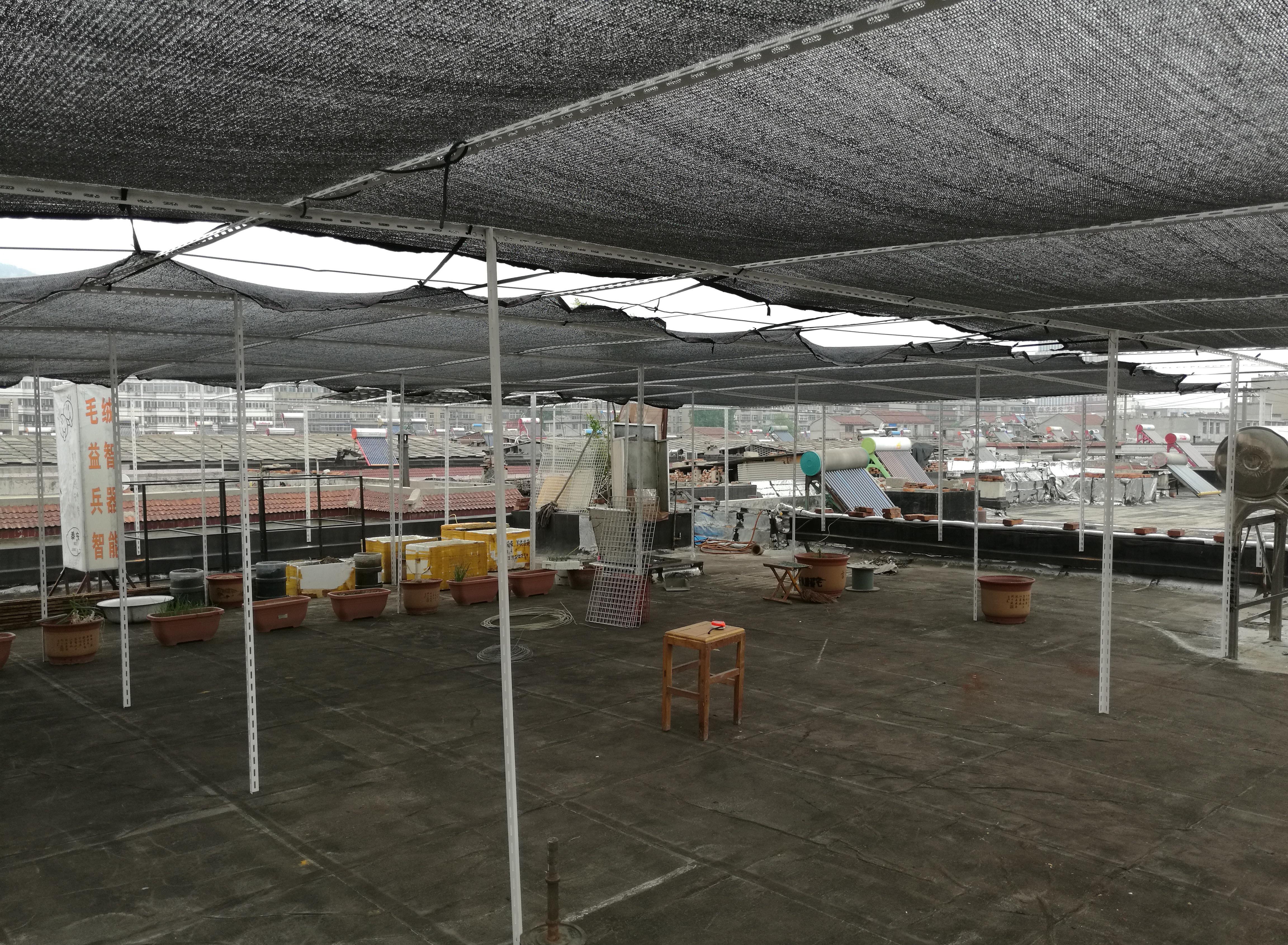 蜜雪集团：公司拟实施H股全流通计划