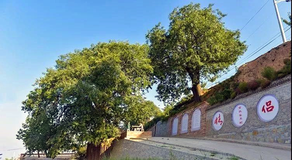 打好五套组合拳 湖北联通助力通山乡村振兴
