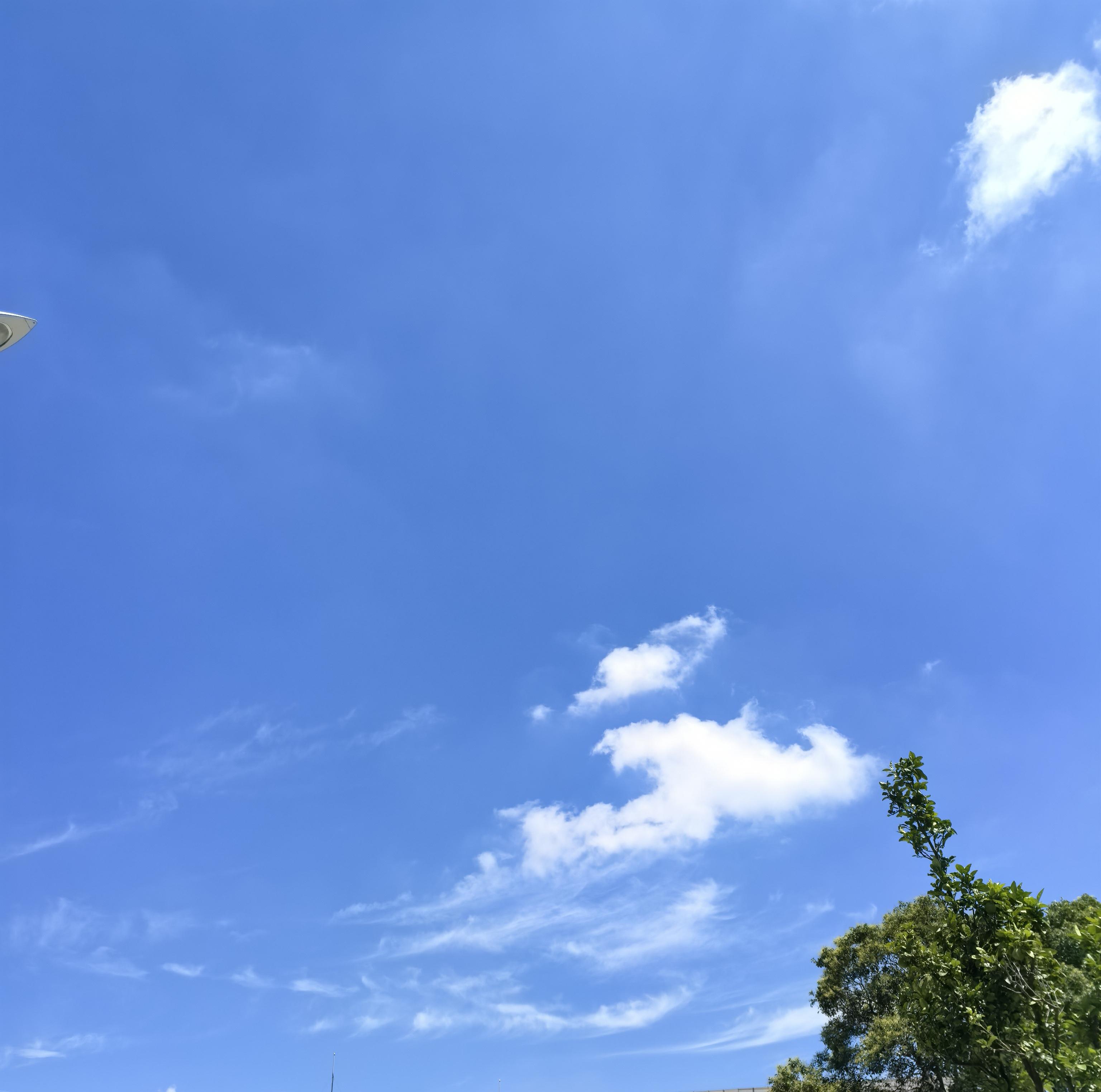 今年首个高温天将至，下周全国多地将冲击40℃！今年真会迎来史上最热夏天？中国气象局回应