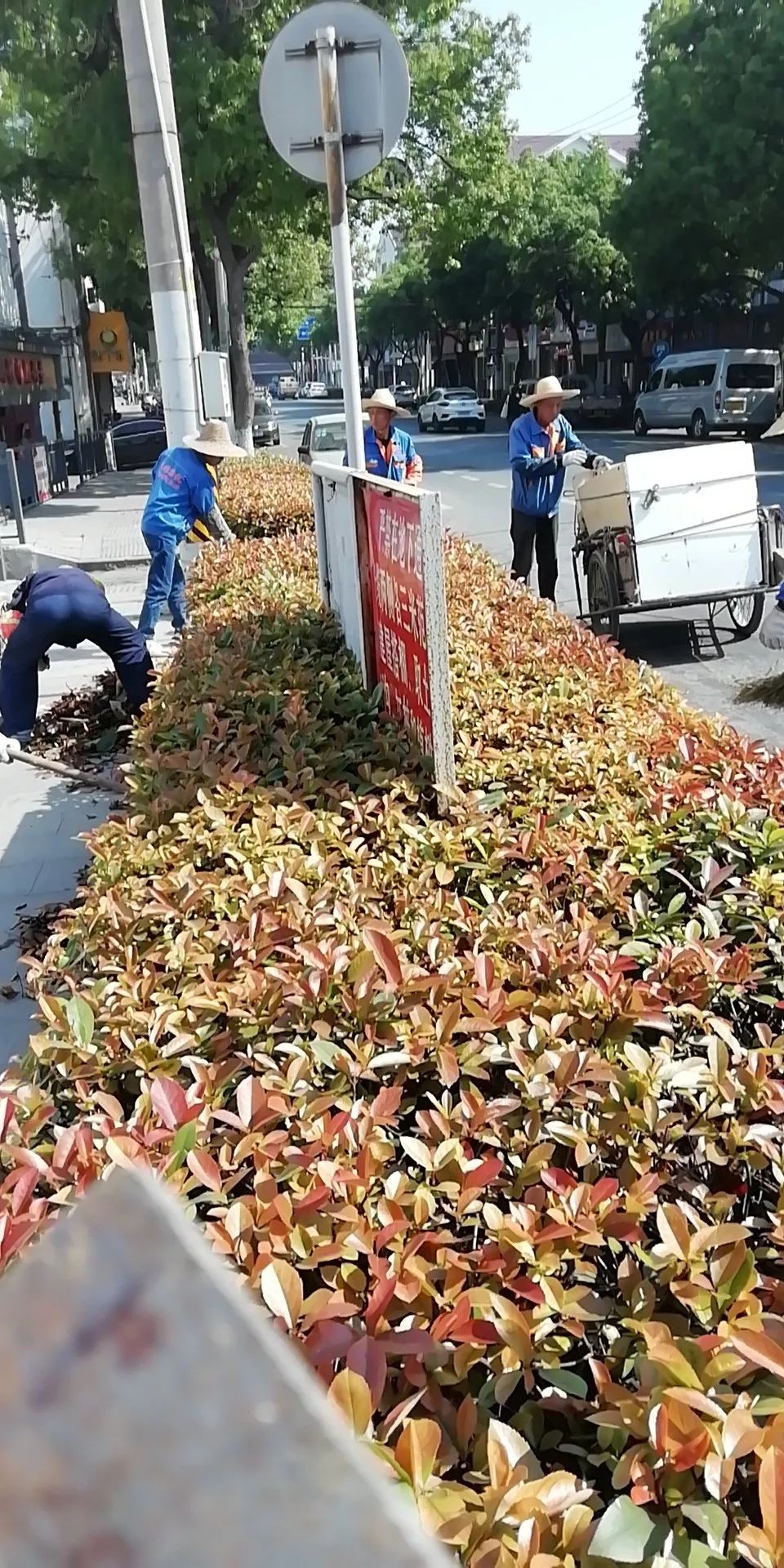 侨银股份：预中标约5397万元环卫保洁一体化服务项目