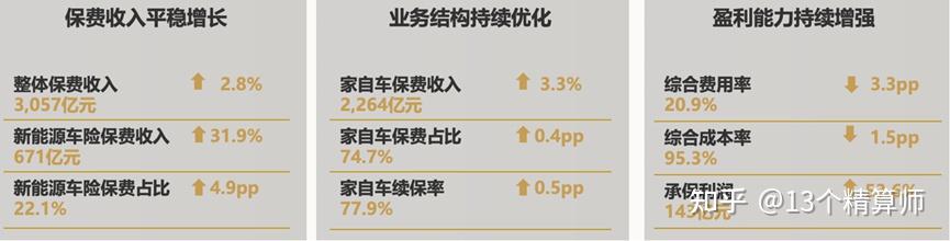 人保车险   品牌优势——快速了解燃油汽车车险,人保财险政银保 _2025-2030年中国羊绒行业深度解码：从“软黄金”到“时尚顶流”，揭秘产销新格局与品牌突围战略