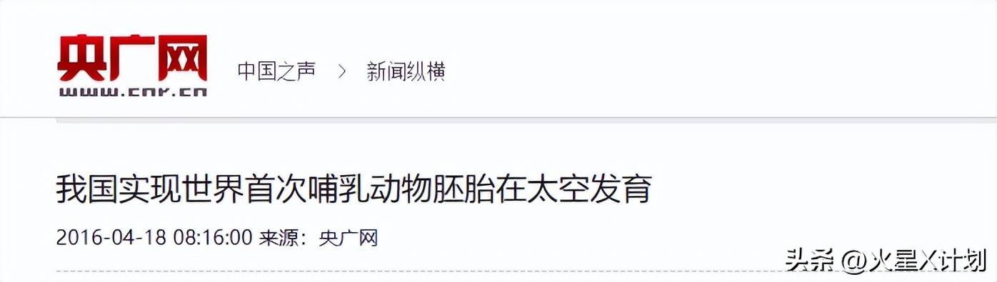 中国空间站首次人类“人工胚胎”实验进展顺利