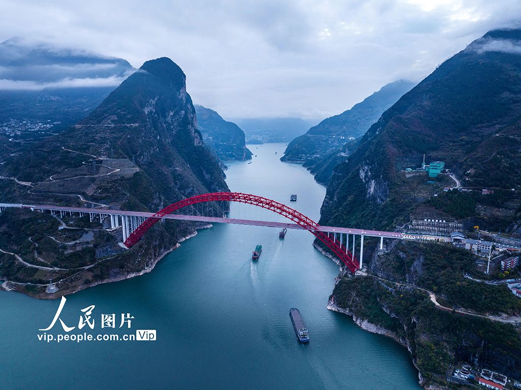 中国三峡集团：三峡库区特有珍稀植物迁地保护成活率超九成