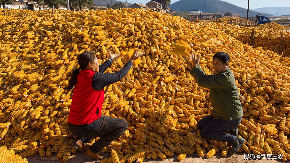 益生股份：预计在需求增加且供给偏紧的局面下 父母代鸡苗价格有望继续上涨