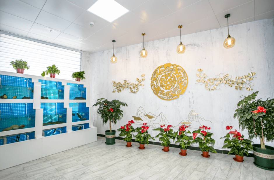 “玩”美新消费丨逛超级工厂、乘空中列车，在科技之城感受创新脉动